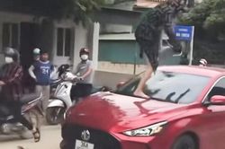 Người phụ nữ đạp vỡ kính chắn gió ôtô