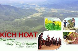 'Kích hoạt' tiềm năng vùng Tây Nguyên