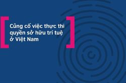 Củng cố việc thực thi quyền sở hữu trí tuệ về văn hóa và sáng tạo