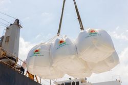 Gạo Việt 'đắt hàng' tại thị trường EU