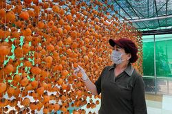 Đưa nông sản lên''sàn''