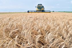 WTO kêu gọi cải cách các quy định về thương mại nông nghiệp