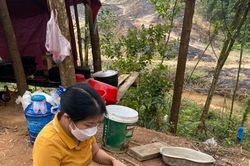 7 người ở Nghệ An nhập viện cấp cứu do uống thân cây lá ngón