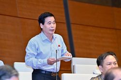 Đại biểu Quốc hội thảo luận về hành vi bạo lực gia đình