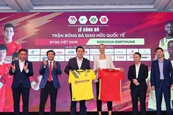 Giá vé xem trận tuyển Việt Nam gặp Borussia Dortmund 800.000 -1.600.000 đồng