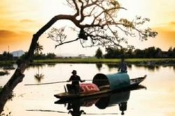 Thương rồi để đó