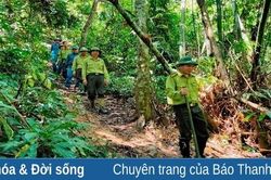 Hạt kiểm lâm huyện Quan Sơn xử phạt 21 trường hợp vi phạm