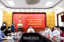 Lãnh đạo UBND tỉnh gặp gỡ doanh nghiệp, hợp tác xã định kỳ tháng 10