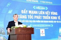 TS. Trần Đình Thiên: 'Muốn đẩy mạnh liên kết thì phải sửa Luật Đất đai'