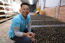 Đặc sản ngủ 3 tháng không ăn uống, 8X Tiền Giang lãi trăm triệu