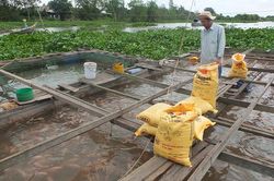 Người dân dần thay đổi tư duy từ sản xuất nông nghiệp sang 'kinh tế nông nghiệp'