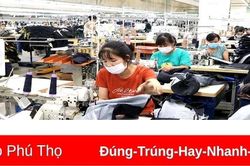 Phát triển tổ chức Đảng trong doanh nghiệp ngoài nhà nước