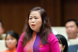 ĐBQH: Có tình trạng lạm quyền trục lợi, tư duy nhiệm kỳ gây lãng phí đất đai