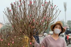 Người lao động được nghỉ tối đa 3 ngày Tết Dương lịch 2023