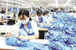 Trình Thủ tướng phương án nghỉ Tết Quý Mão 7 ngày