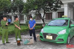 Ninh Bình: Bắt đối tượng vận chuyển rắn quý hiếm
