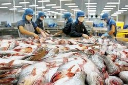 Giãn thuế hàng chục ngàn tỷ đồng