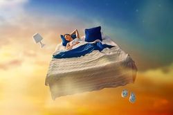 12 điều kỳ lạ về giấc mơ, số 11 khiến bạn cực bất ngờ