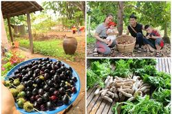 Trang trại rộng thênh thang của Lê Phương ở Tây Ninh có gì?