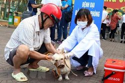 Chủ động phòng tránh bệnh dại: Tiêm phòng đầy đủ cho chó, mèo