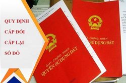 Vụ bà Nguyễn Thị Dục ở thị trấn Hồ Xá kiến nghị cấp giấy CNQSD đất: Vì sao UBND huyện Vĩnh Linh chưa giải quyết dứt điểm