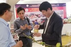 Kinh tế Kinh tế Tích hợp hệ sinh thái đổi mới sáng tạo để phát triển
