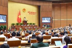Đề nghị tổng rà soát các bằng tiến sĩ, thạc sĩ