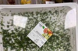 Các kiểu đóng gói thực phẩm lạ lùng đến khó tin, ngỡ dành riêng cho người lười