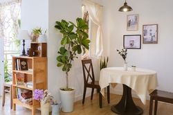 Thất nghiệp + thất tình, cô gái 27 tuổi một mình cải tạo căn hộ cũ thành không gian sống lý tưởng