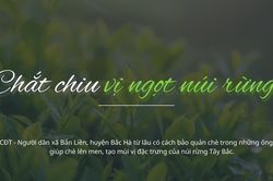 Chắt chiu vị ngọt núi rừng