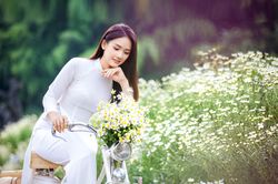 Thiếu nữ Hà Thành khoe sắc với cúc họa mi đầu mùa