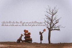 Những câu nói hay về tình yêu và cuộc sống trong văn học
