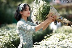 Say đắm vẻ đẹp thiếu nữ Hà Thành bên cúc họa mi đầu mùa