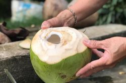 Cơm chan nước dừa – độc đáo hương vị miền Tây