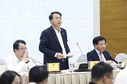 Thứ trưởng Bộ Tài chính: Xử nghiêm hành vi tung tin đồn về chứng khoán