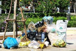 Nha Trang: Tăng cường kiểm tra, xử lý hành vi đổ rác không đúng thời gian, địa điểm quy định
