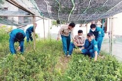 Chính trị - Xã hội An sinh xã hội 'Chỗ dựa' cho đồng bào dân tộc thiểu số