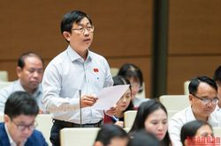 Đại biểu Quốc hội đề nghị xử lý nghiêm các dự án treo, chậm tiến độ