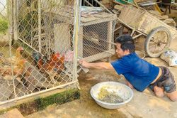Nghị lực phi thường của người đàn ông di chuyển bằng đôi tay kỳ diệu