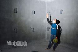 Khởi nghiệp làm giàu từ nuôi chim yến trong nhà