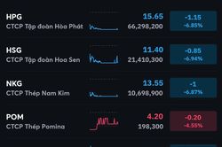VN-Index rút chân vào phút cuối, HPG bị bán tháo sau thông tin thua lỗ kỷ lục