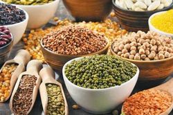 Giới thiệu chung về tác dụng của sữa hạt
