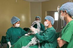 Tâm tình từ những lá thư của bệnh nhân thoát 'lưỡi hái tử thần'