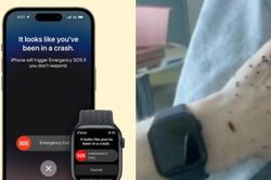 Apple Watch tự gọi cứu hộ, cứu sống chủ nhân bị tai nạn ô tô