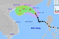 Cập nhật mới nhất về bão số 7