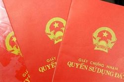 Nhận tiền làm 'sổ đỏ', cán bộ Phòng TN&MT bị bắt giữ