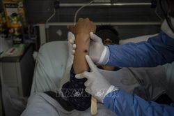 WHO: Bệnh đậu mùa khỉ vẫn là tình trạng khẩn cấp về sức khỏe cộng đồng toàn cầu