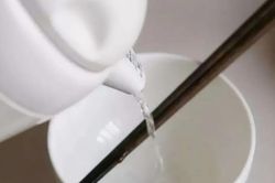 Tráng bát đũa qua nước sôi có tiêu diệt được vi khuẩn gây bệnh? Chuyên gia tiết lộ hiệu quả thực sự