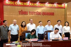 Hợp tác phát triển toàn diện giữa tỉnh Tuyên Quang và An Giang