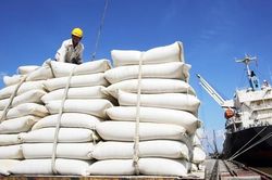Giá gạo xuất khẩu sẽ tiếp tục tăng